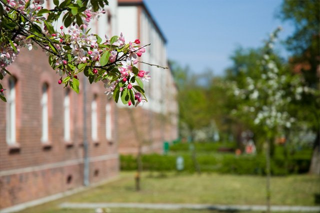 Sanierung SKS WIldau